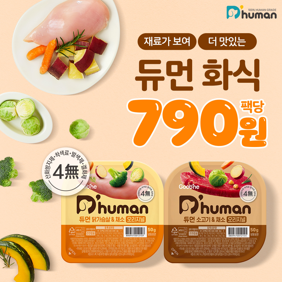 듀먼 퍼포먼스
